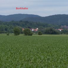 Borkhahn