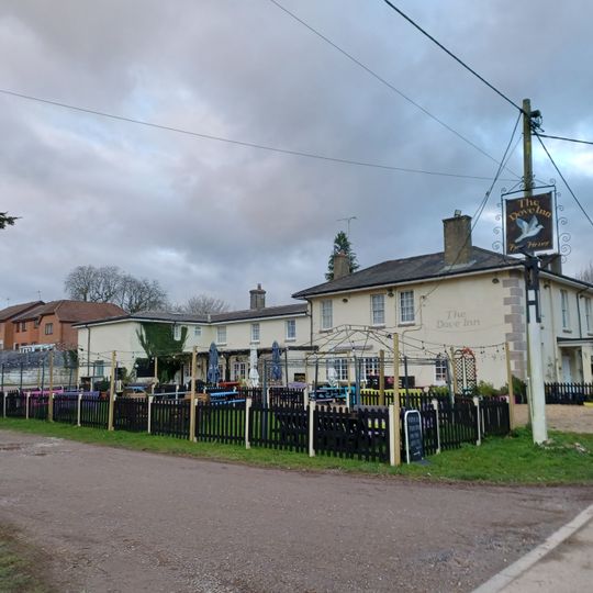 The Dove Inn