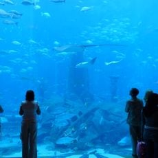 The Lost Chambers aquarium