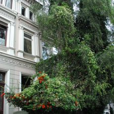 Wohnhaus Herderstraße 60