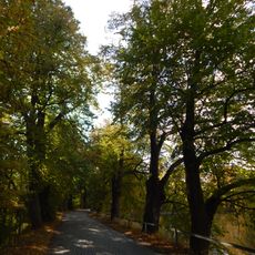 Lipová alej za zámkem