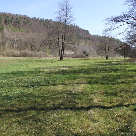 Lohrbach- und Aubach-Tal