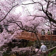 Takatō Castle Site Park