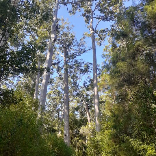Warren National Park