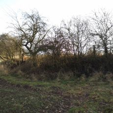 Hünenburg im Barbruch