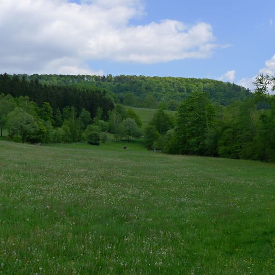 Rothaarkamm und Wiesentäler