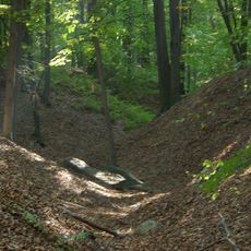 Nature reserve Parowy Janinowskie