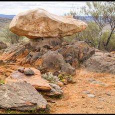 Nhatji (Rainbow Serpant)
