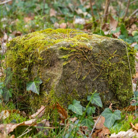 Grenzstein Fürther Stadtwald in Fürth