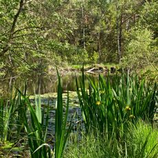 Naturpark Hochmoor Schrems