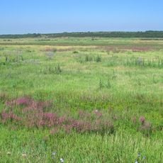Otchenashkovi Nadily Reserve