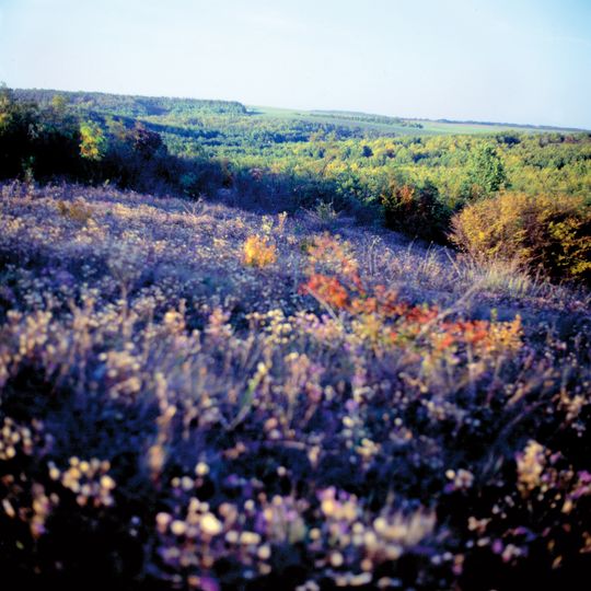 Urochysche Balka Yaranska Reserve
