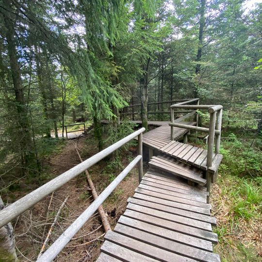 Lothar Path