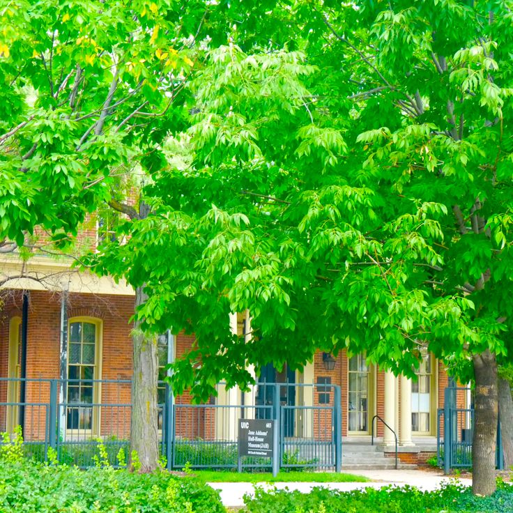 Jane Addams Hull-House Museum
