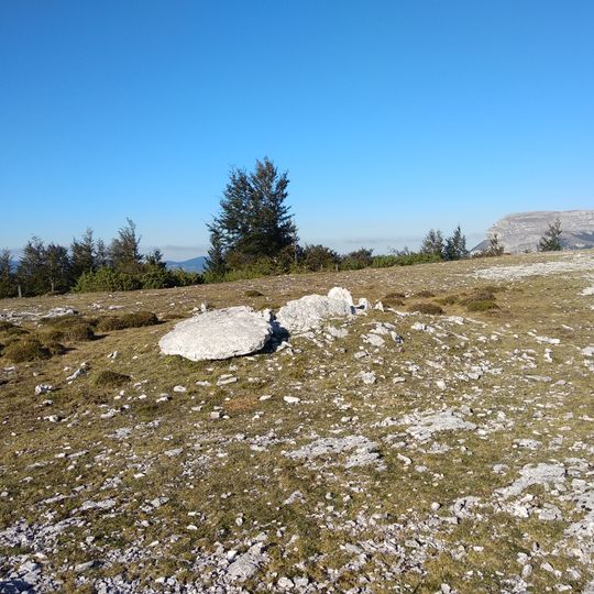 Etxarriko portugañe 1 mendebalde