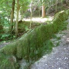 Steinerne Rinne Knapp