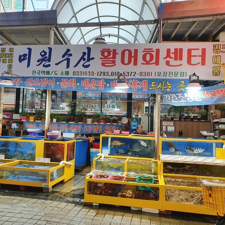 束草觀光水産市場
