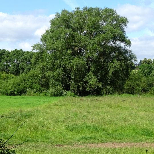 Leineaue unter dem Rammelsberg