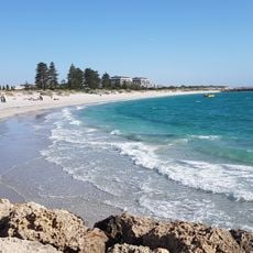 South Beach Dog Beach