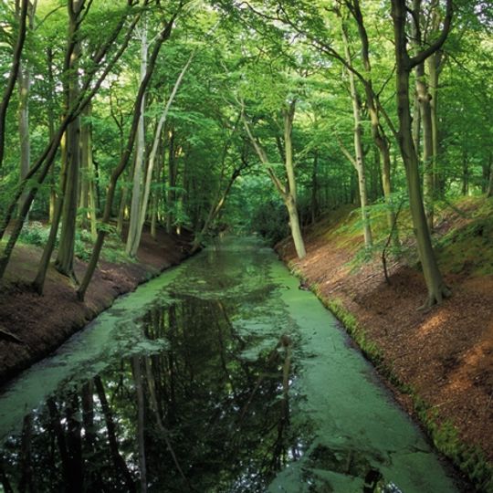 Landgoed Clingendael: historische tuin- en parkaanleg