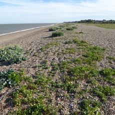 The Haven, Aldeburgh