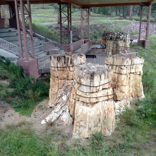 Stump Shelter and Amphitheater