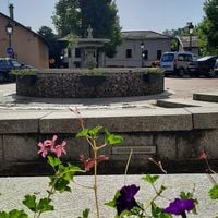 Шапонне