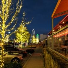 Trinity Groves, Dallas