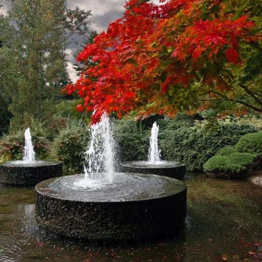 Forstbotanischer Garten Köln