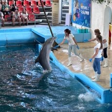 Delfinarium