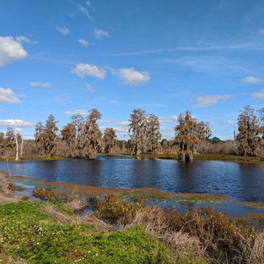 Polk's Nature Discovery Center