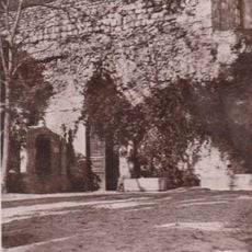 Saint Maximus of Tabarka Church