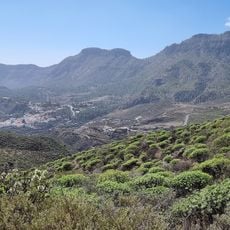 Los Tilos de Moya