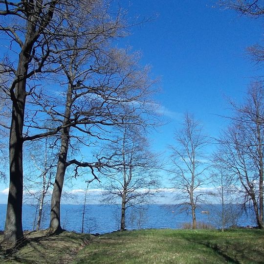 South Shore of Neva Gulf