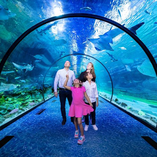 The National Aquarium Abu Dhabi