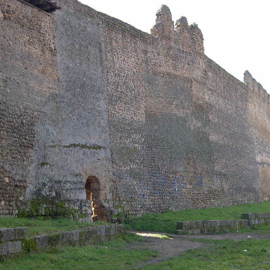 Mansilla de las Mulas Wall