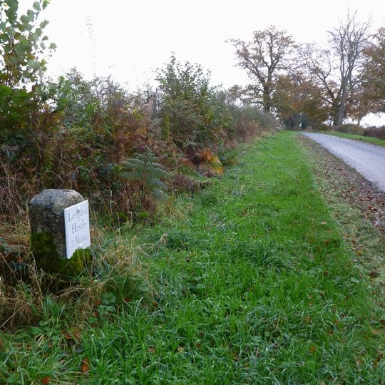 Milestone About 100 Metres From Somerset County Boundary, To South West Of Horningsham Village