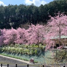 来応寺