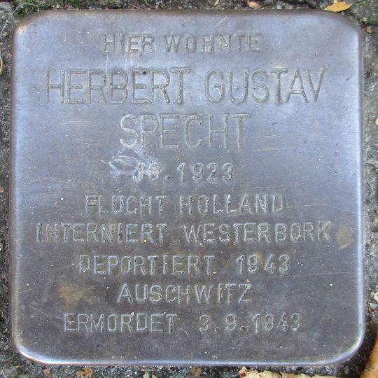 Stolperstein dedicated to Herbert Gustav Specht