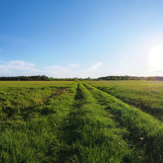 Westliches Federseeried/Seelenhofer Ried