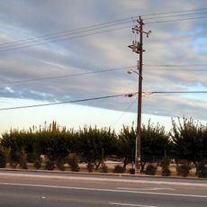 Forestiere Underground Gardens