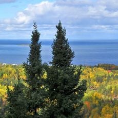 Lac Saint-Jean