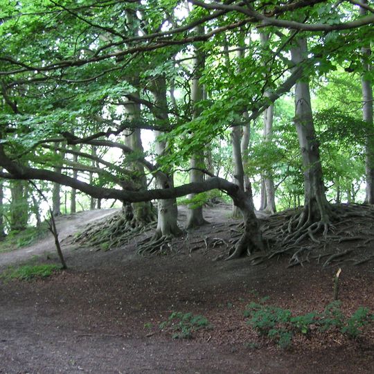 Sharpenhoe Clappers: an Iron Age promontory fort, medieval warren and associated medieval cultivation earthworks
