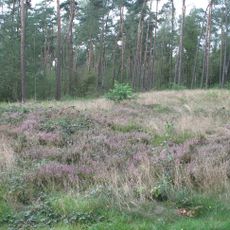 Grafheuvel 45412, Bennekom