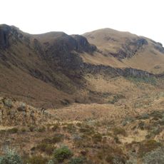 Northern Andean páramo