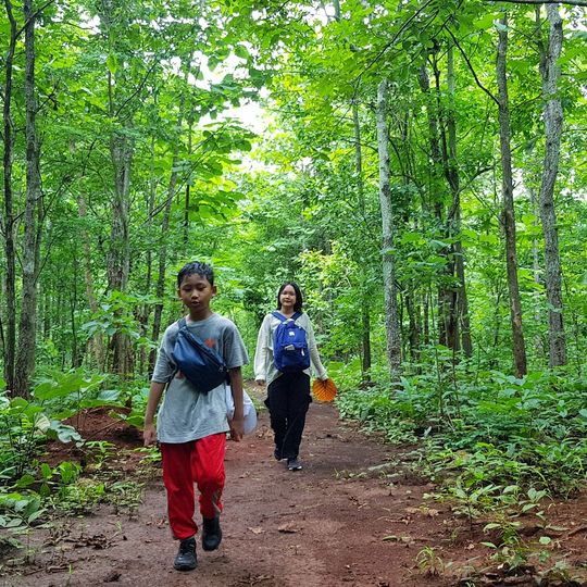 Panlaung-Pyadalin Cave Wildlife Sanctuary