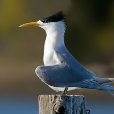 Sir Charles Hardy Group National Park