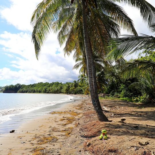 Plage de Sainte-Claire
