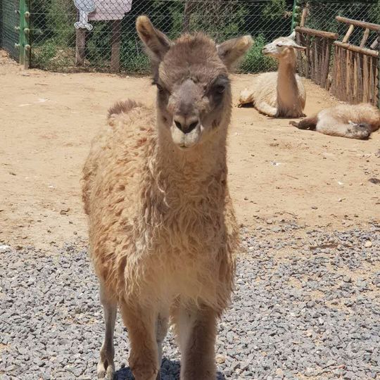济南野生动物世界