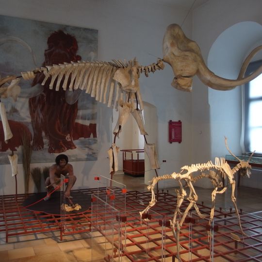 Museum für Ur- und Frühgeschichte auf der Willibaldsburg